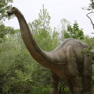 brontosaurus.jpg